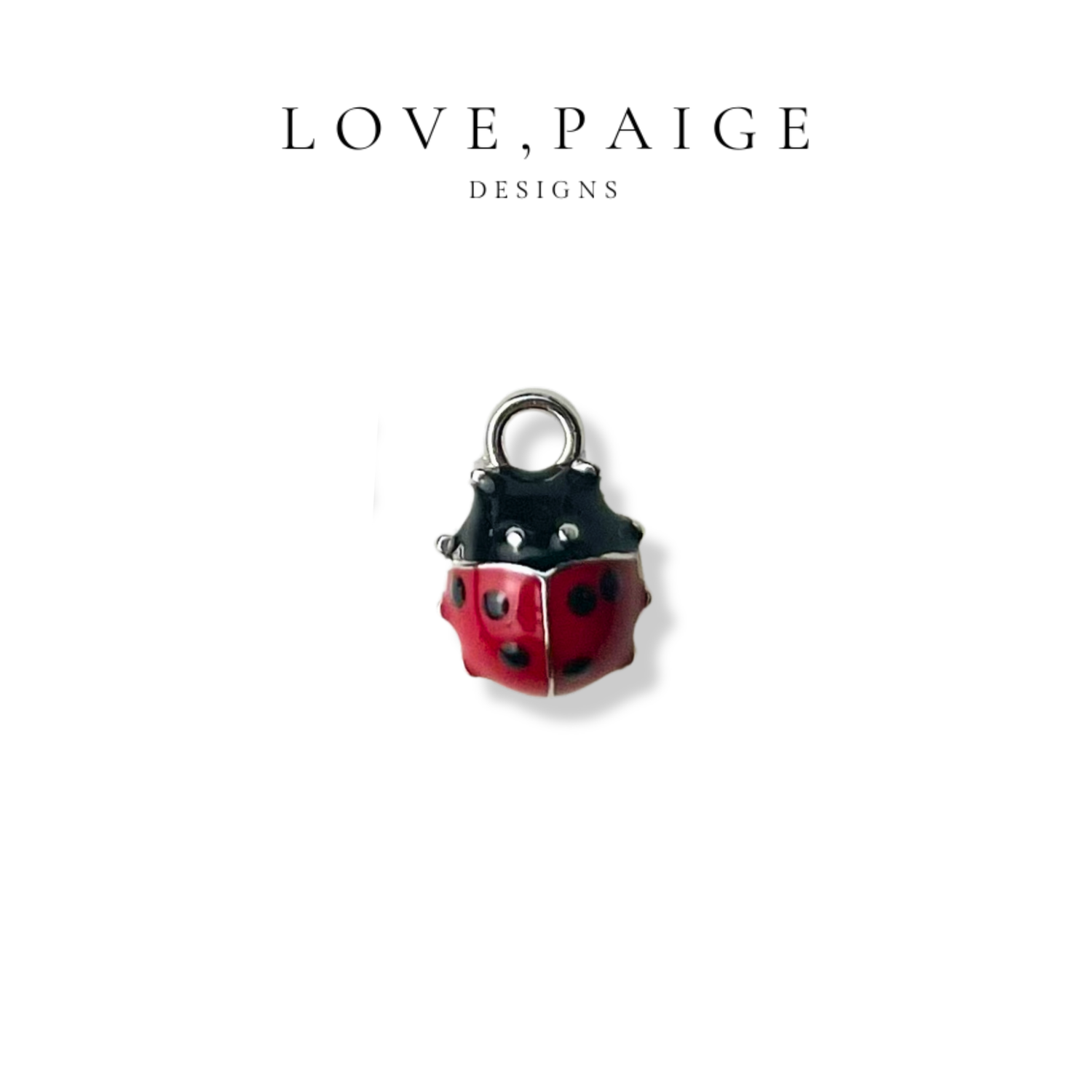 Ladybug Silver Charm