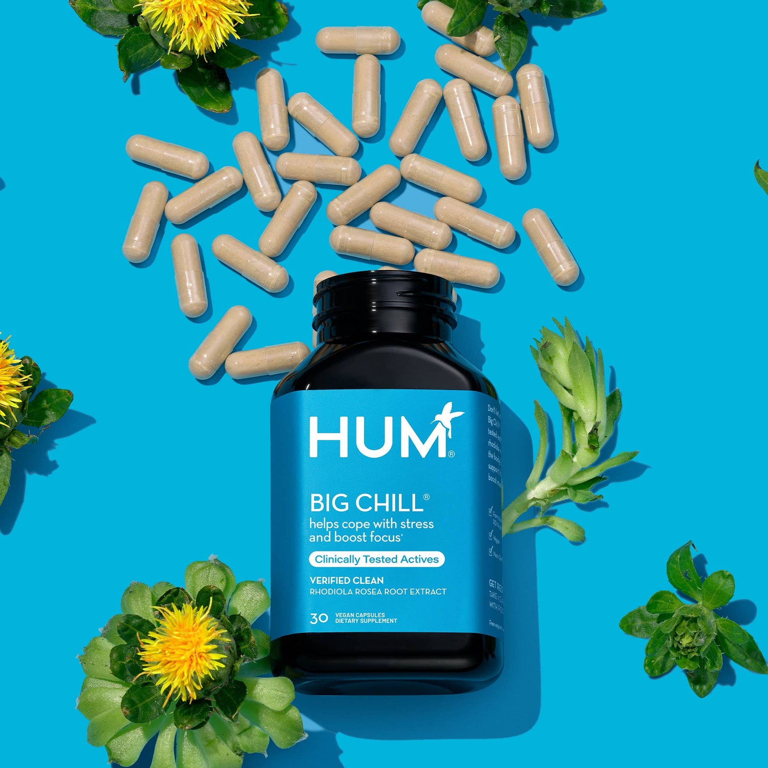 BIG CHILL CAPSULES FOR REDUCING STRESS SYMPTOMS