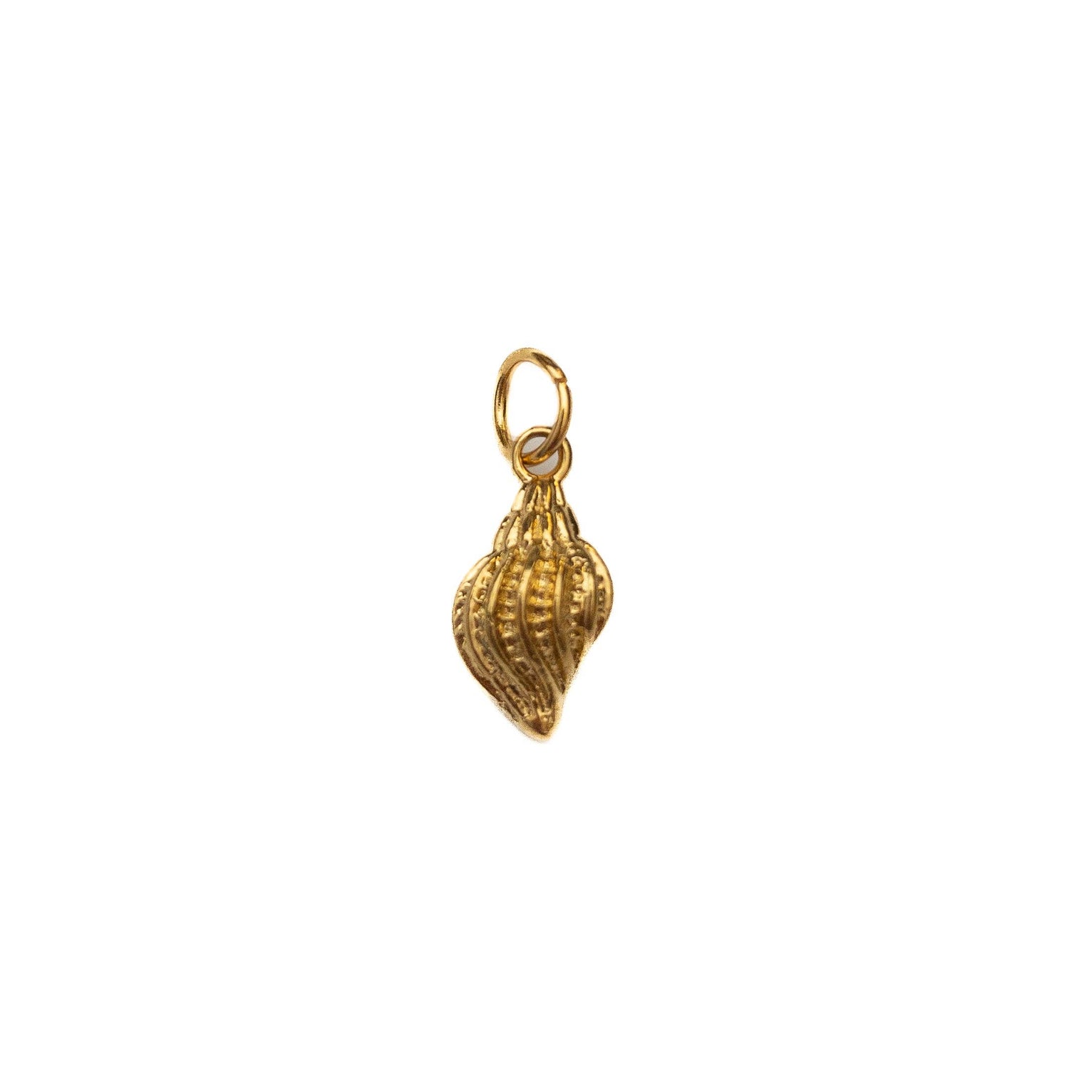 Spiral Shell Charm